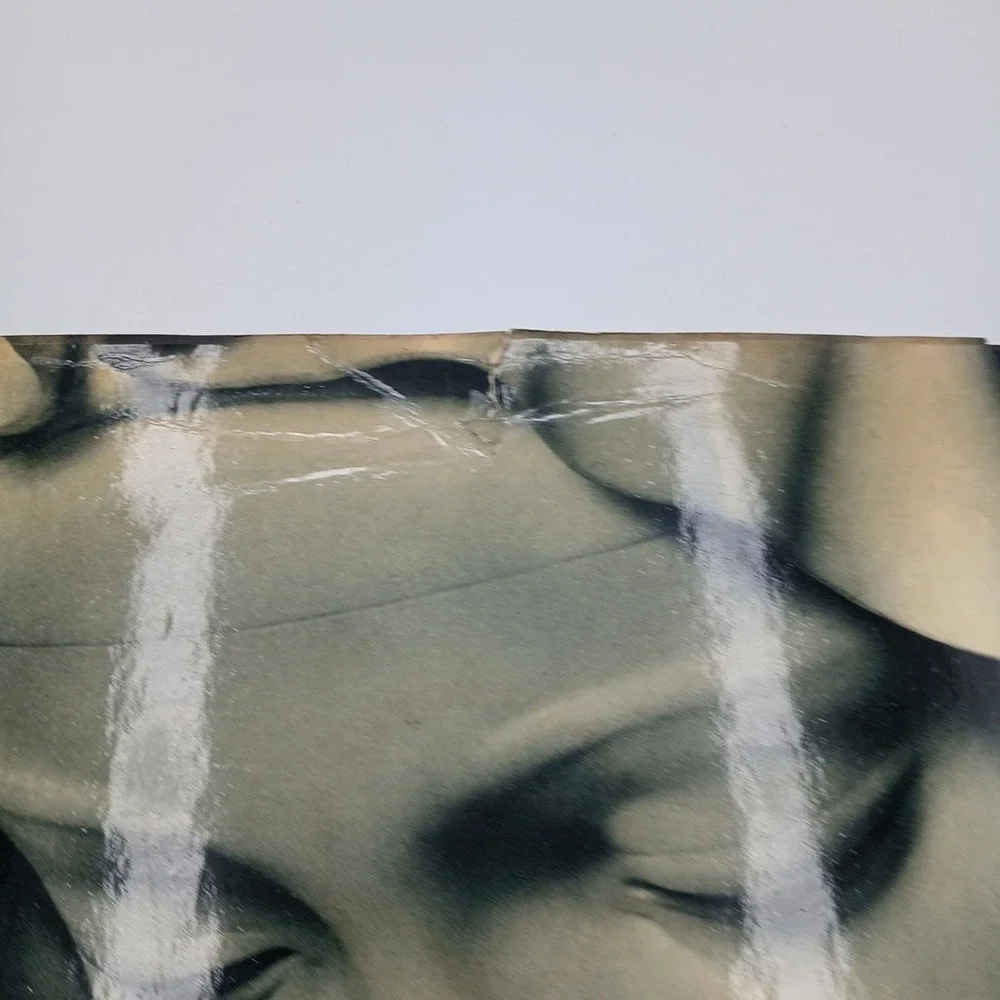 Michelangelo Paintings Sculptures Architecture 1964 Goldscheider Phaidon Art